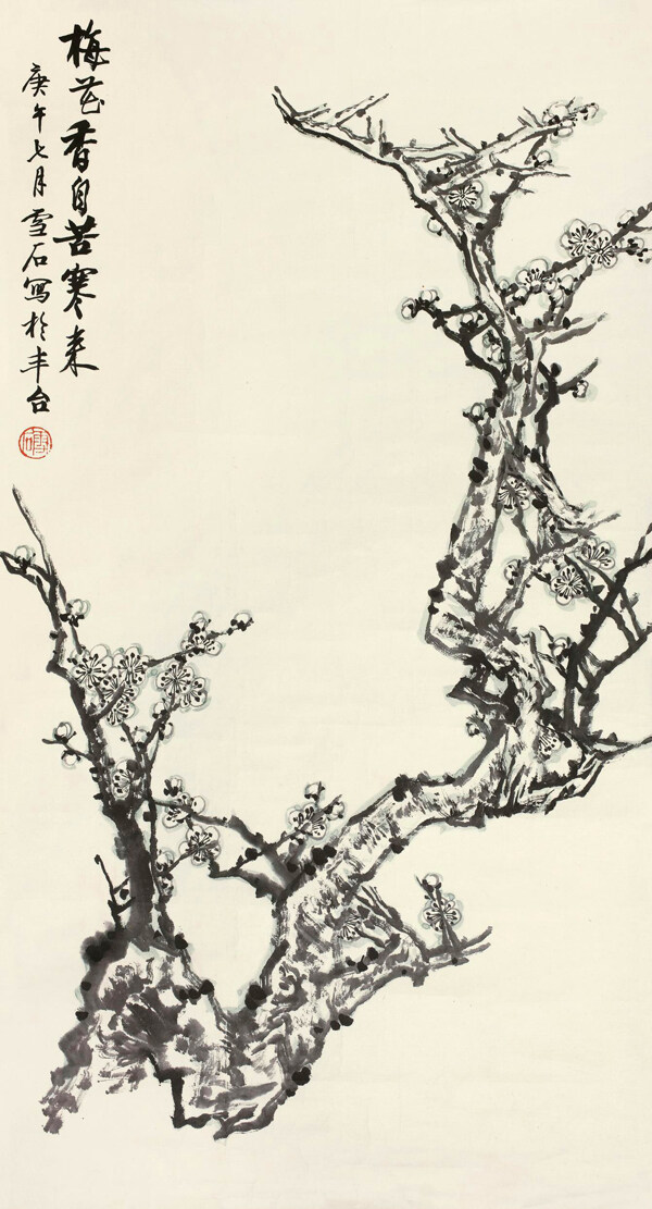 梅花香自苦寒來圖片