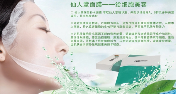 仙人掌面膜