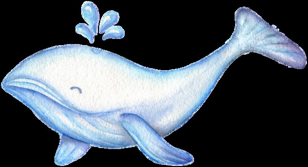 喷水蓝鲸卡通透明素材