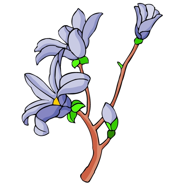 花卉古典插畫
