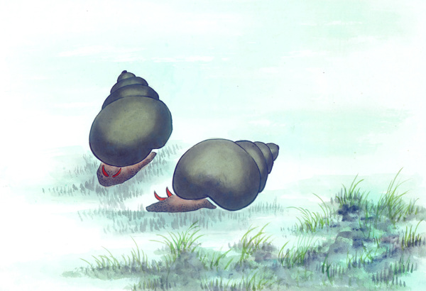 古圖繪畫(huà)動(dòng)物魚(yú)類(lèi)生物