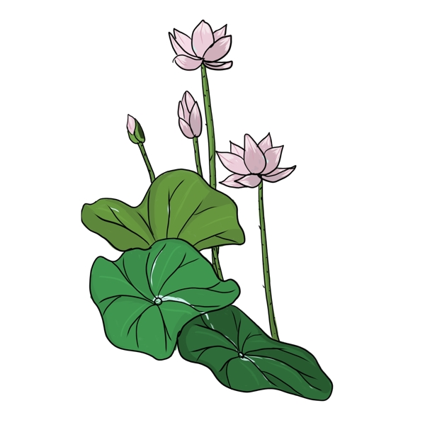 手繪中國(guó)風(fēng)荷花PNG素材