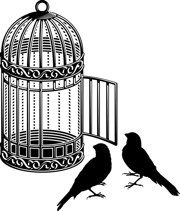 黑白鸟笼和小鸟插画