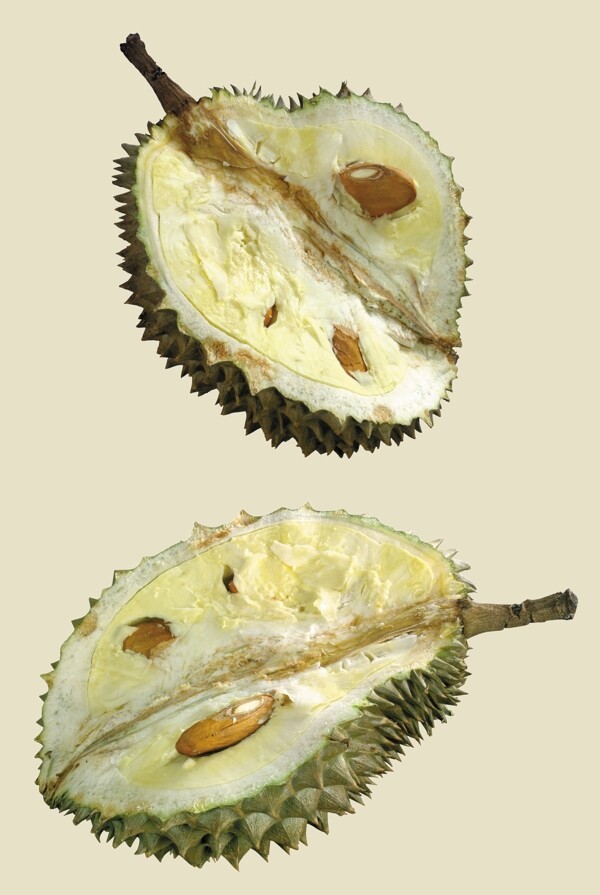 榴蓮圖片