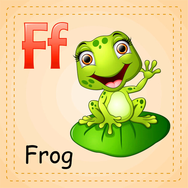 青蛙英语单词图片