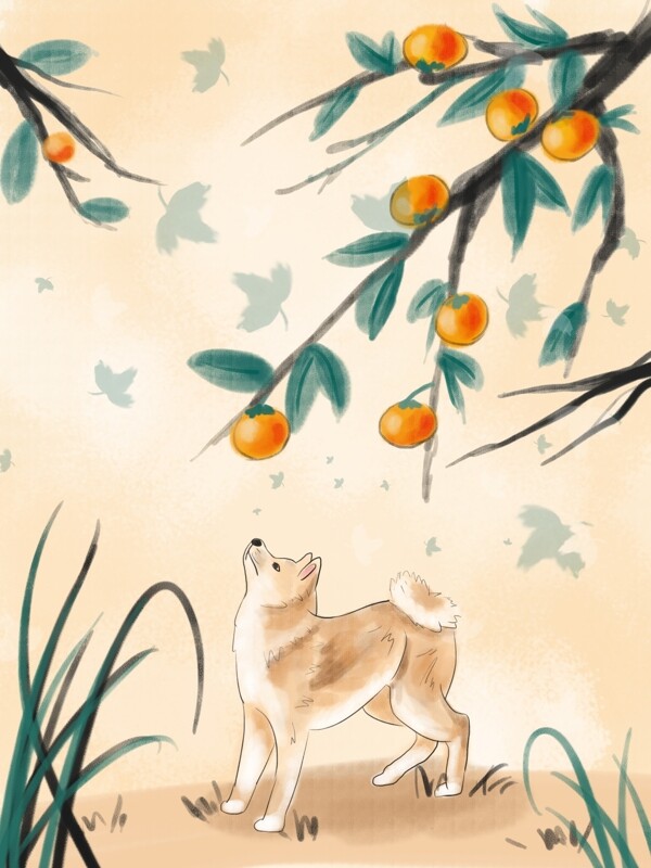 彩墨柿子树下的小柴犬