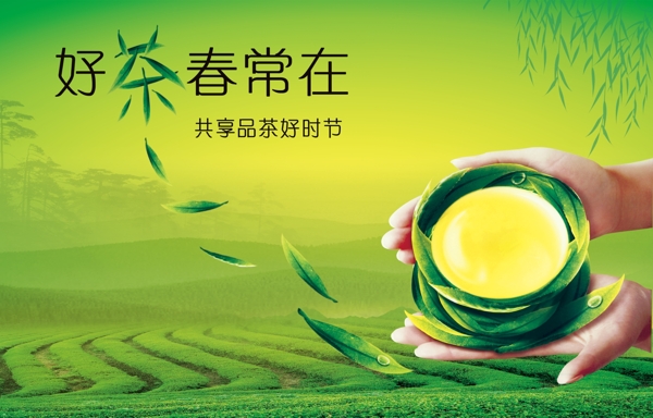 茶文化