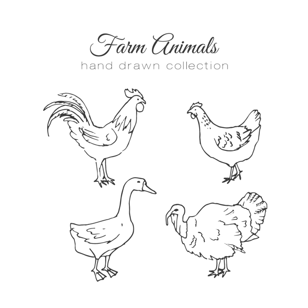 各种农场动物手绘插图