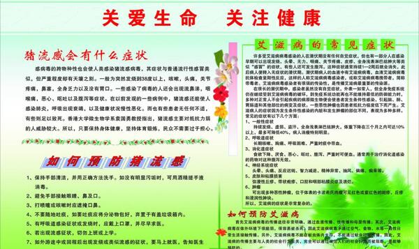 关爱生命关注健康图片