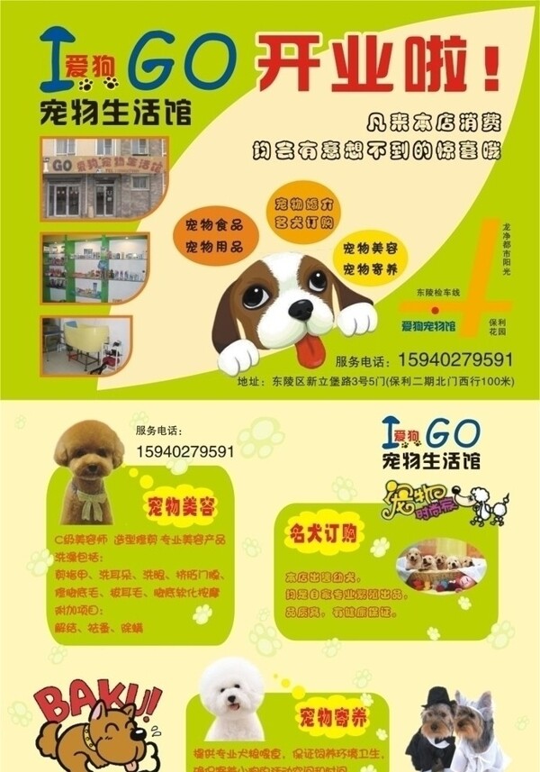 寵物店宣傳單圖片