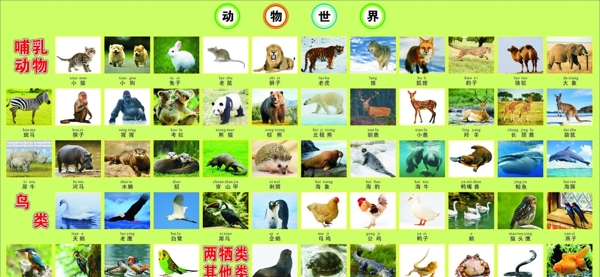 动物世界