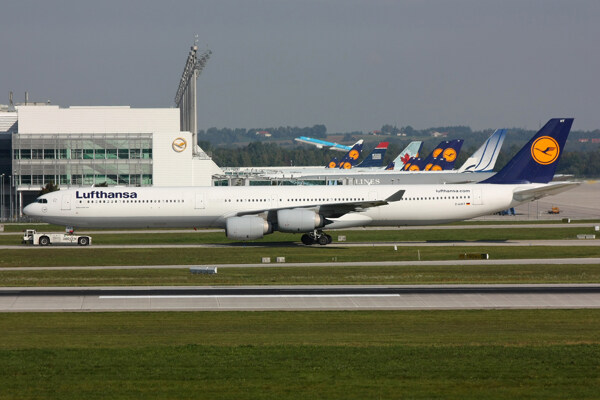 汉莎航空A340图片