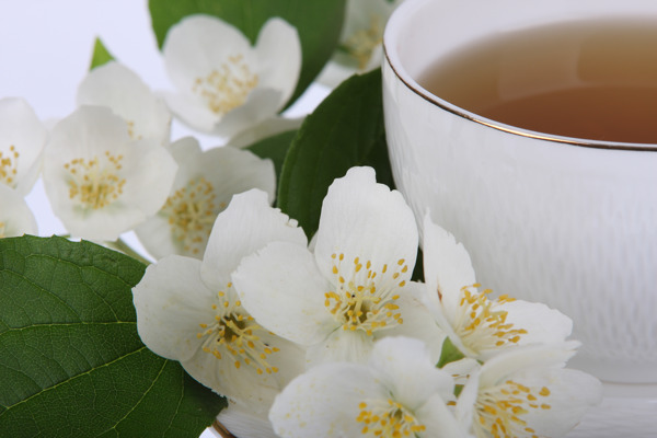 一杯茶