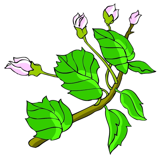 花卉古典插畫