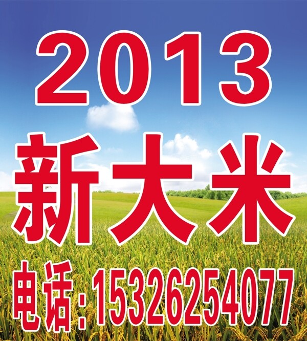 2013新大米圖片