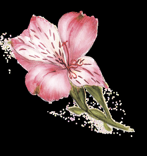 花紋花蕊卡通透明素材