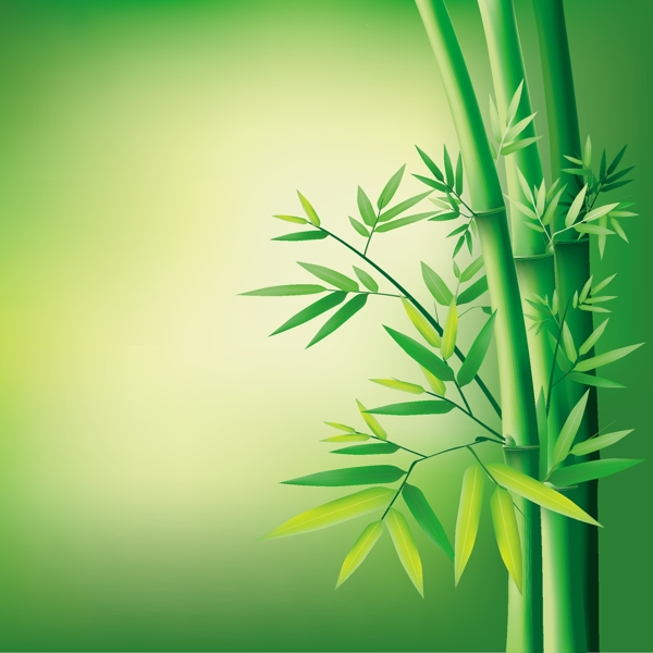 绿色翠竹