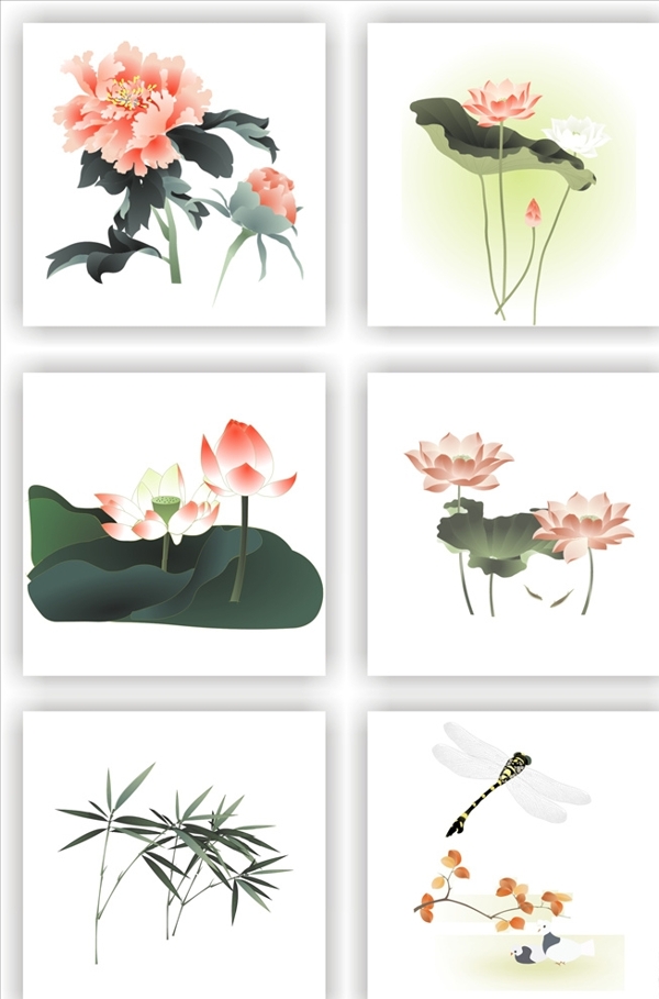 荷花素材