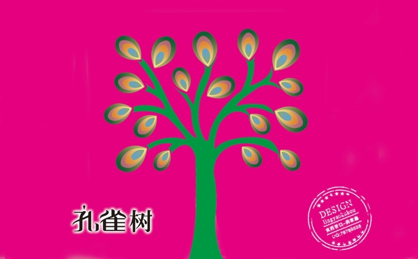 孔雀樹(shù)圖片