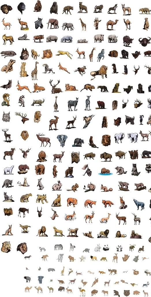 動物世界圖片