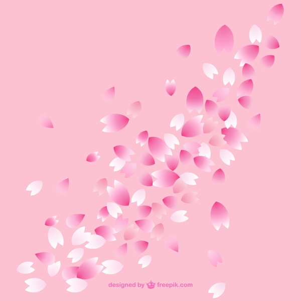 樱花花瓣