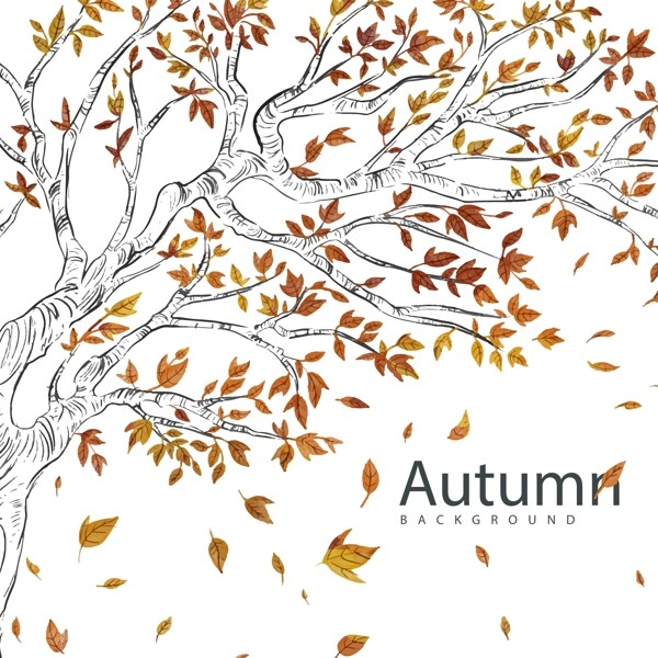 秋天绘画树叶素材