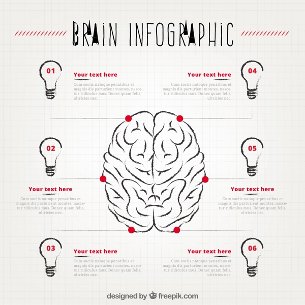 六灯泡人脑的信息图表
