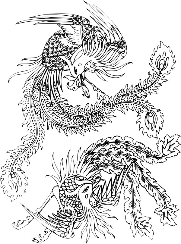 印花矢量圖動(dòng)物鳥(niǎo)類(lèi)色彩黑色免費(fèi)素材