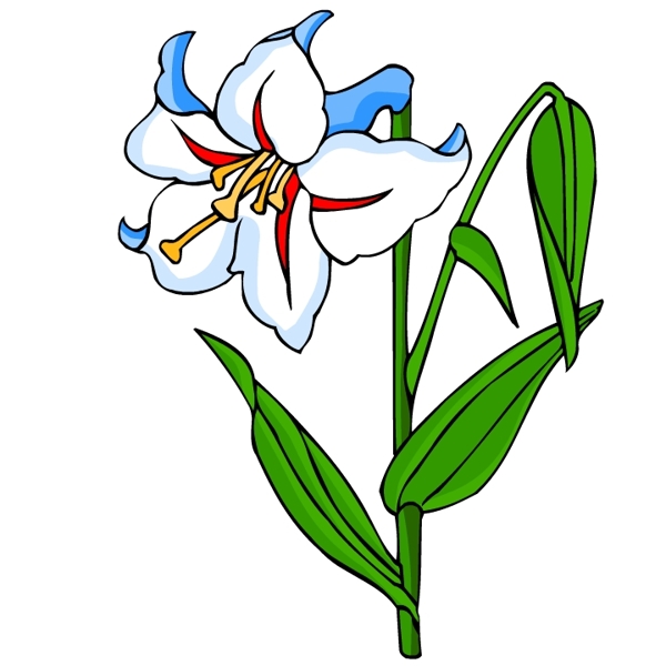 花卉古典插畫