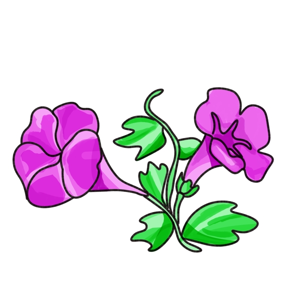 紫色牵牛花植物插画可商用元素