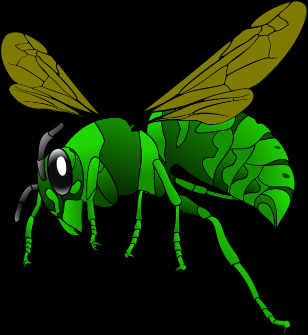绿色大黄蜂