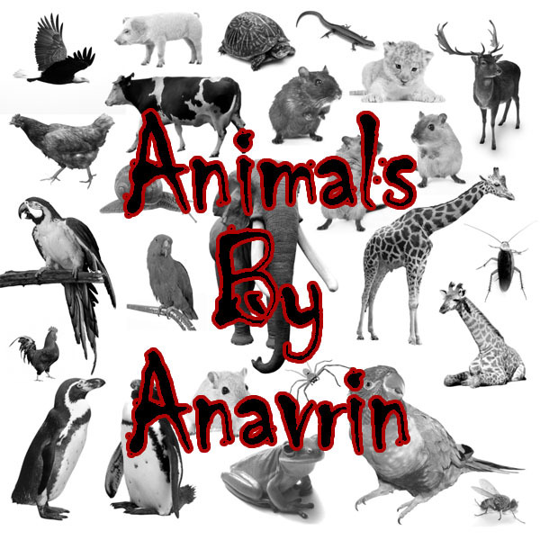 26動物PS筆刷