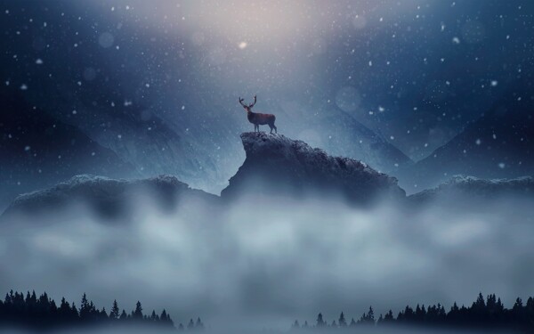 群山麋鹿夜色星空风景