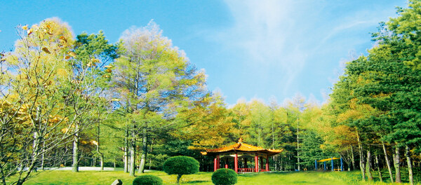 公園一角