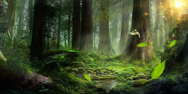 森林梦幻魔幻清新背景海报素材图片