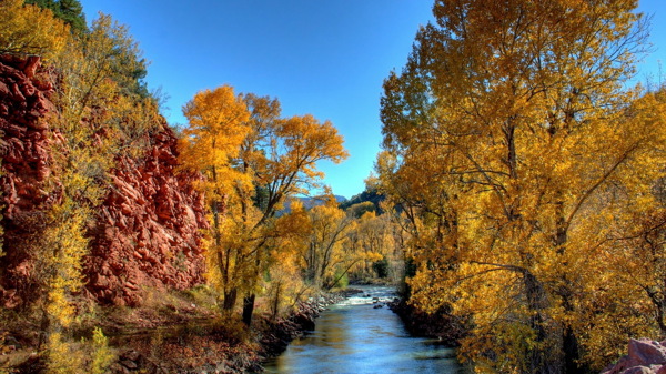 秋季树林小溪风景图片
