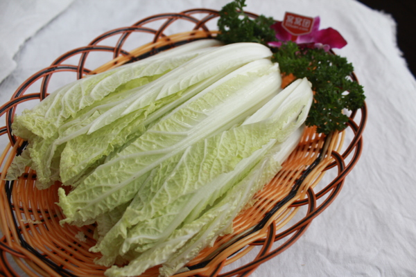 娃娃菜