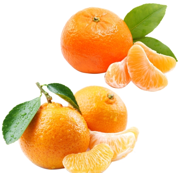 高清橘子素材