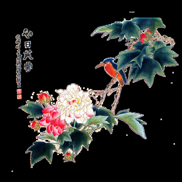 唯美多樣鳥兒靜態(tài)素材