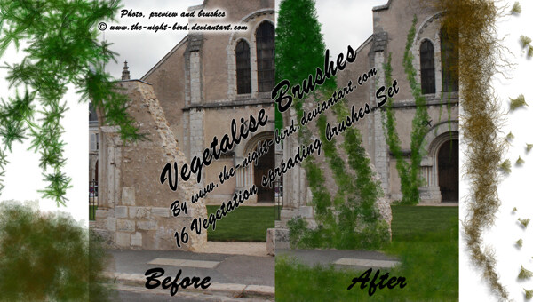 vegetalise