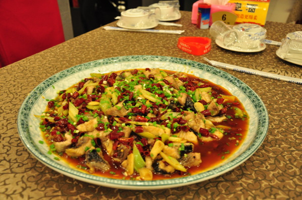 球溪鯰魚圖片
