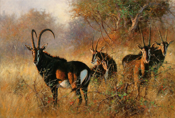 位圖插畫時尚插畫動物插畫藝術(shù)效果免費素材