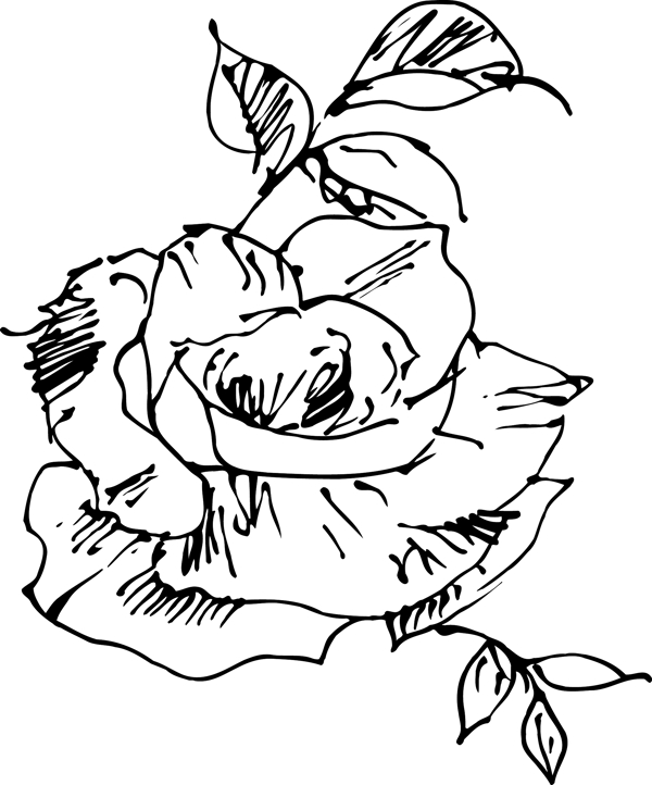 韓國精美花草圖案矢量圖021