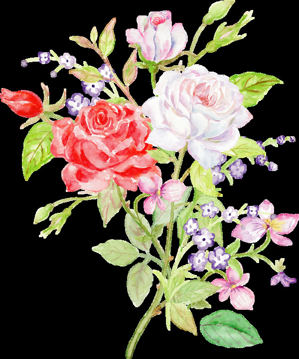 手绘鲜艳于淡雅水彩玫瑰花png透明素材