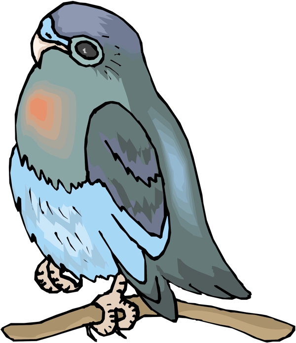 各種鳥類鳥動物矢量素材EPS格式0377