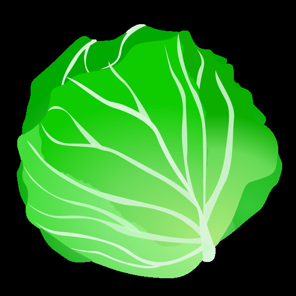 手绘绿色包菜免抠png透明图层素材