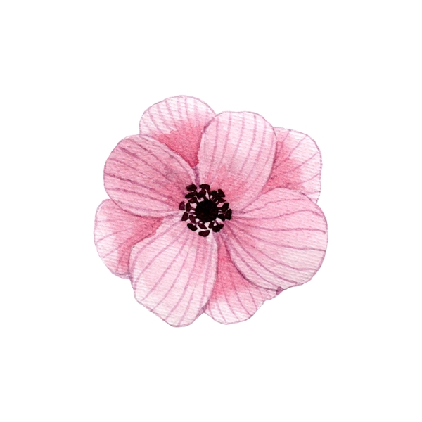 彩紋花瓣裝飾素材