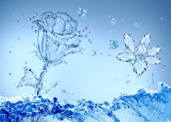 水玫瑰蝴蝶電視背景