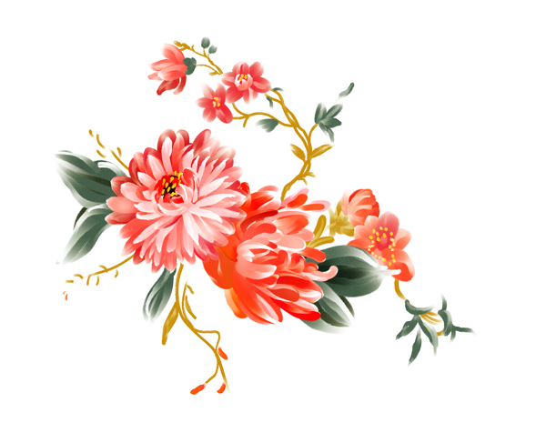 手繪花高清封面插畫花水彩花