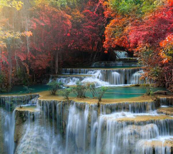 瀑布风景流水红树叶